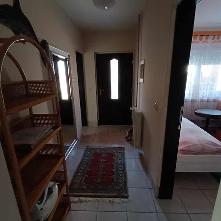 Stara Ruza Apartment Gracanica  Exterior photo